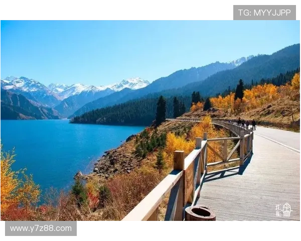 湛境：不止于景，更是心之所向的生活诗篇